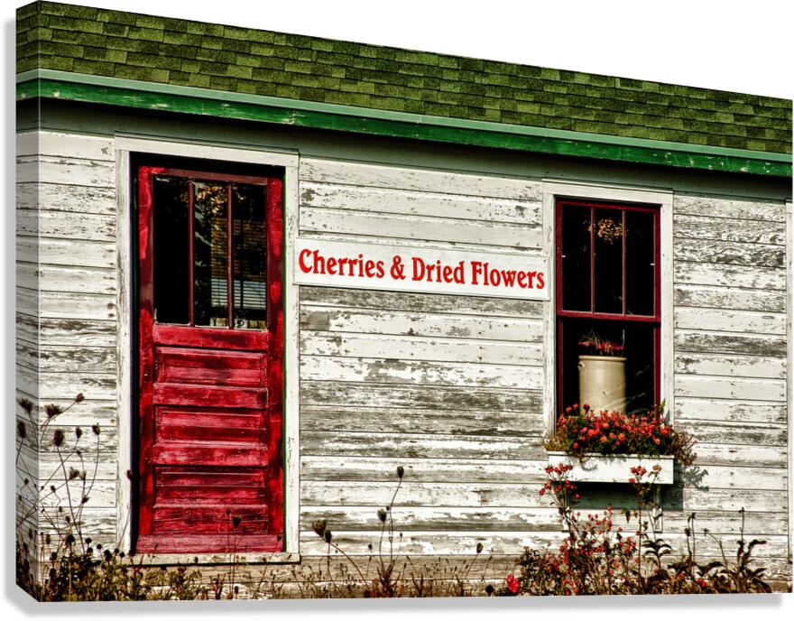 Door County Wisconsin Cherries Canvas Print