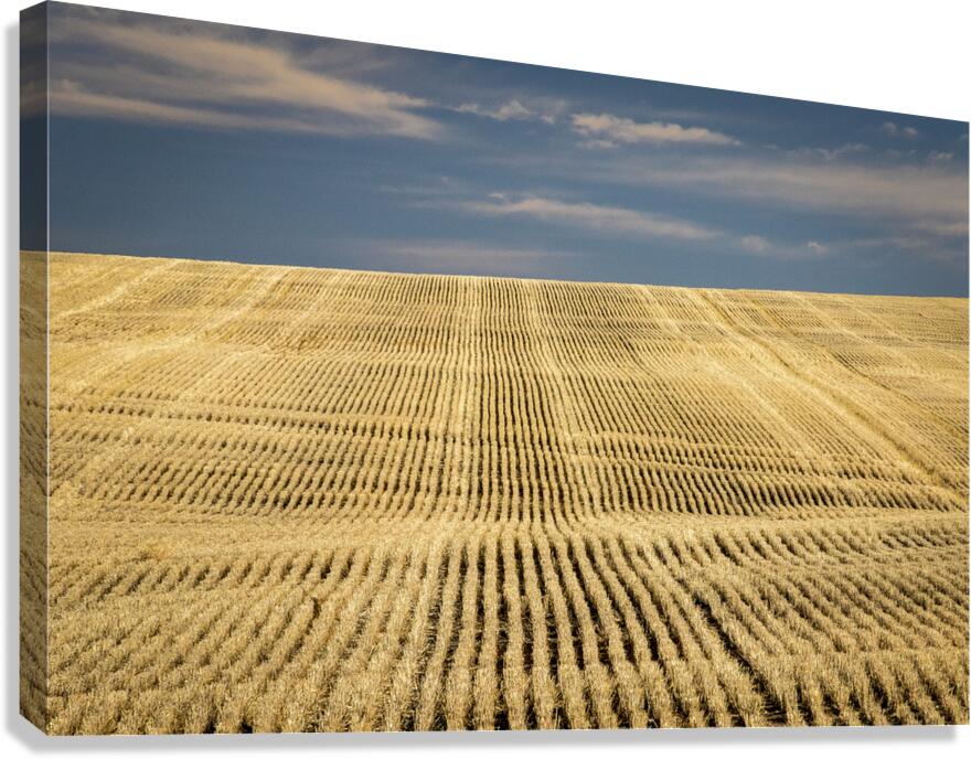 South Dakota Farm Country Canvas Print