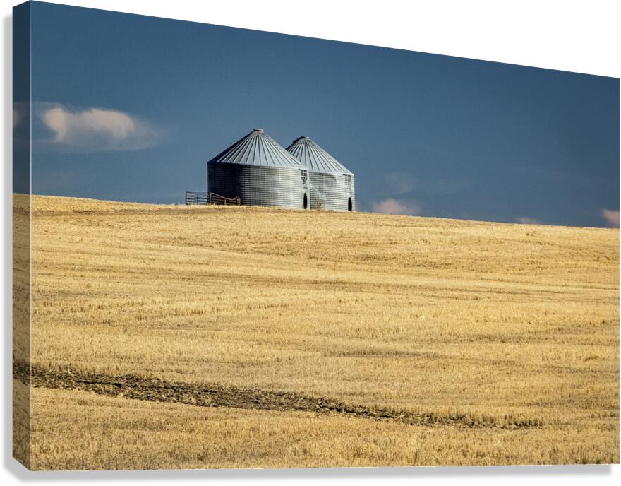 Farm Country USA Canvas Print