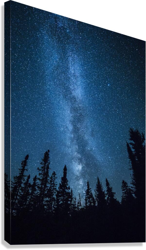 Milky Way over Minnesota Canvas Print
