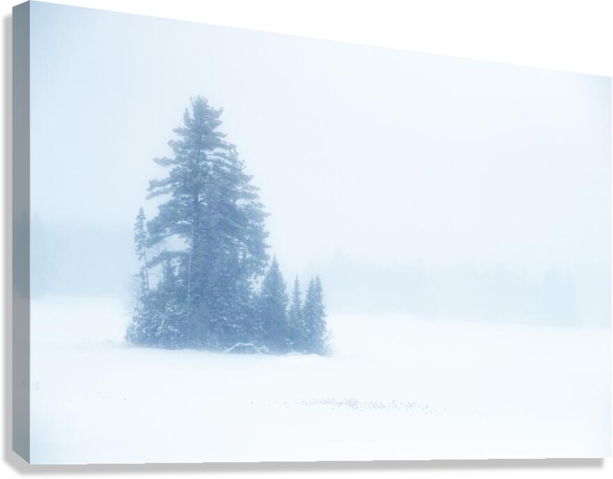 Snowy Frozen Minnesota Island Canvas Print