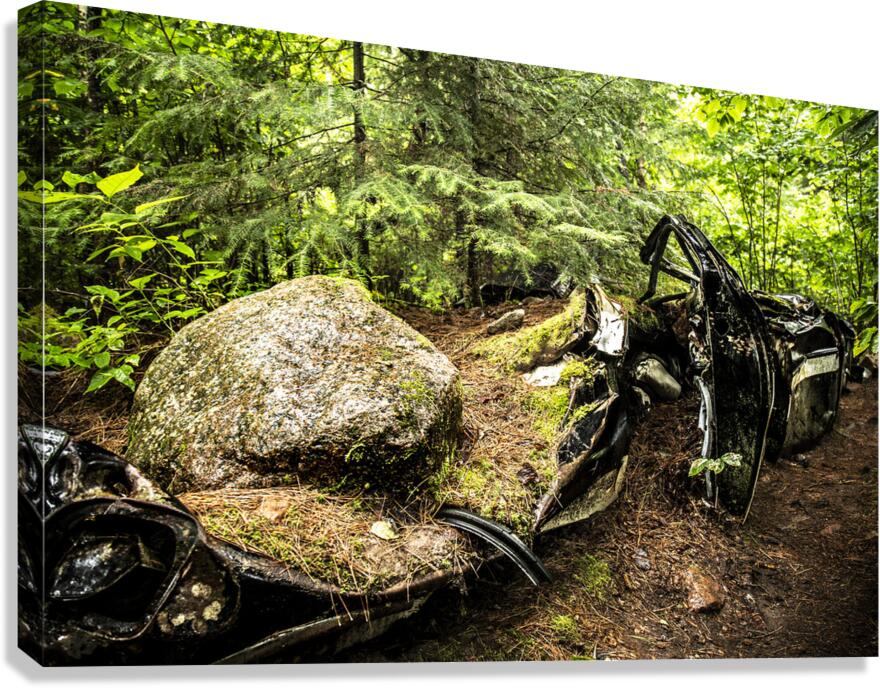 Boulder Car in Nature Canvas Print