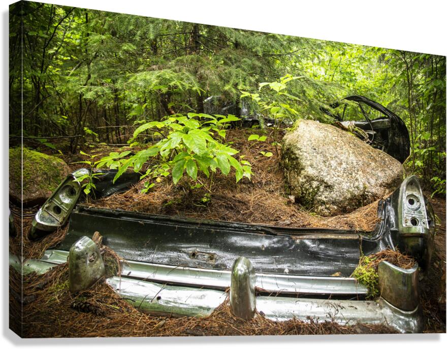 Car with Boulder in Nature Canvas Print