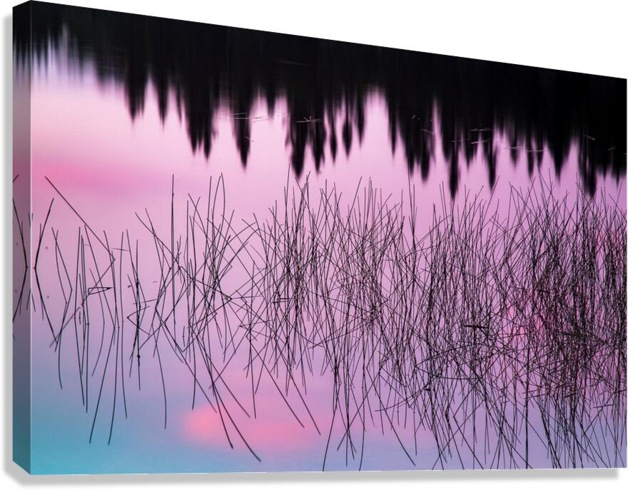 A Weedy Lake Abstract Canvas Print