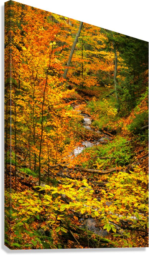 Fall in Munising Michigan Canvas Print