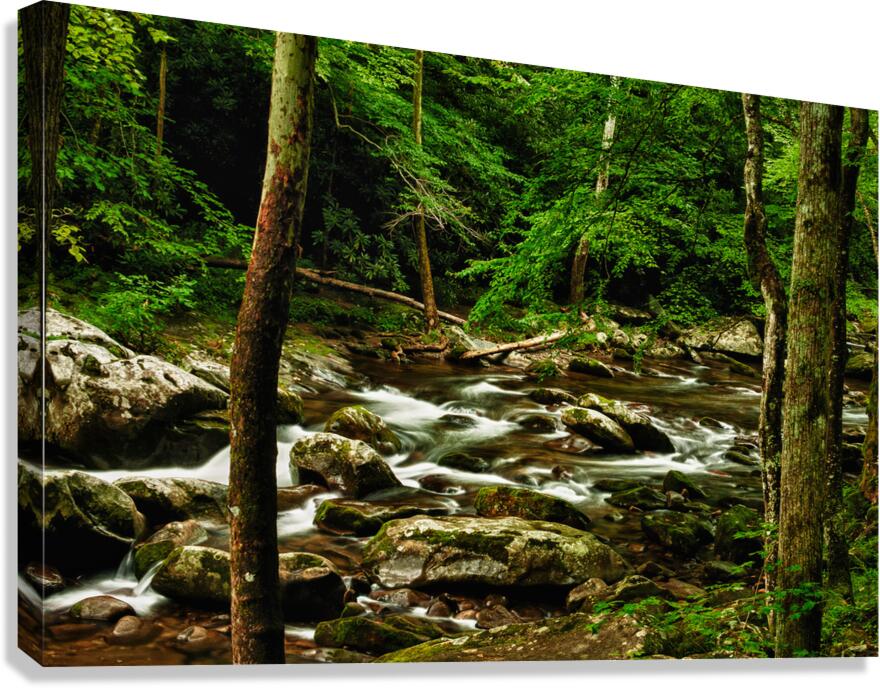 Smoky Mountain Stream Tennessee Canvas Print