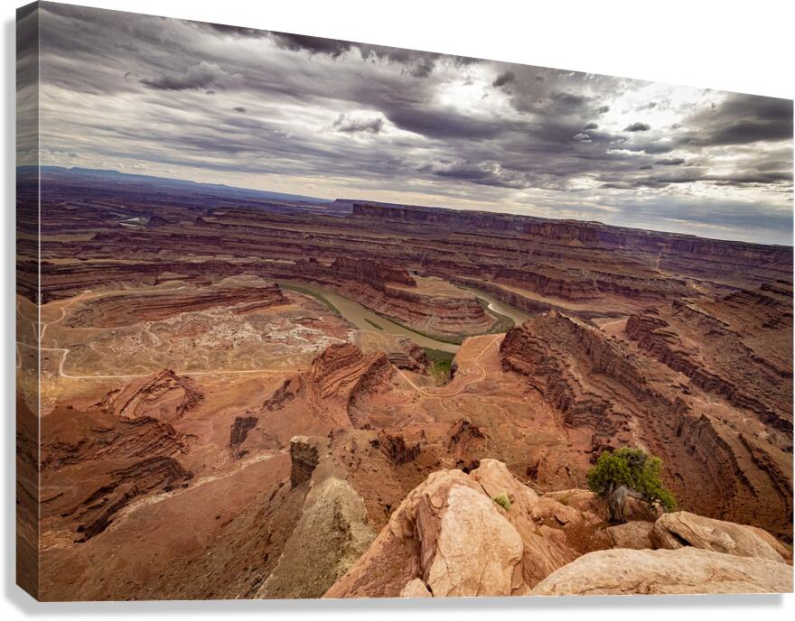 Dead Horse Point State Park Utah Canvas Print