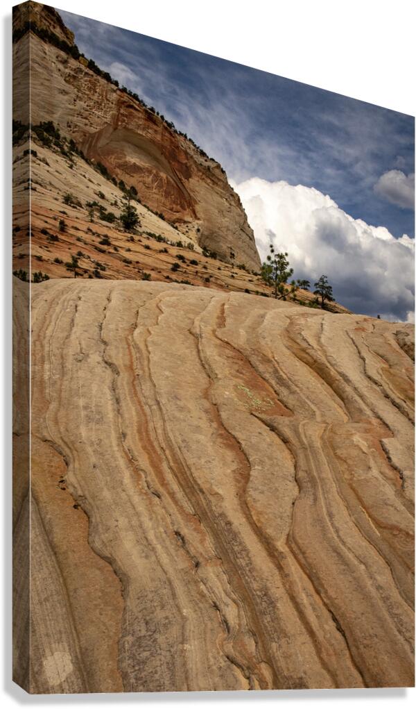 Zion to the Sky Canvas Print