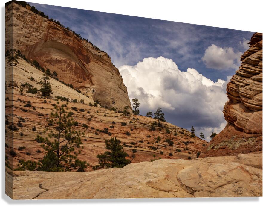 Zion National Park Window to Heaven Canvas Print