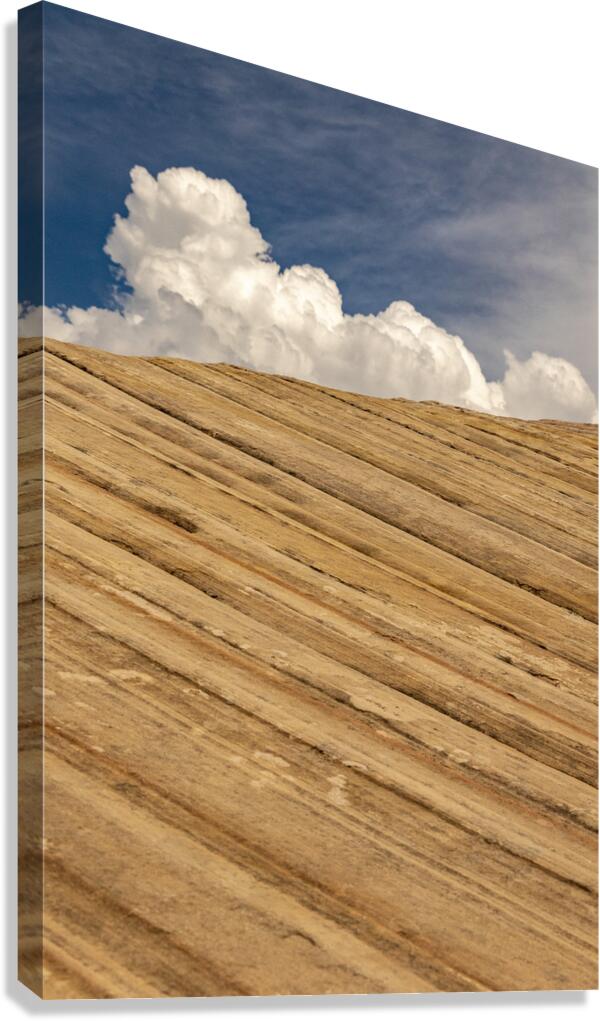 Zion Skies Canvas Print