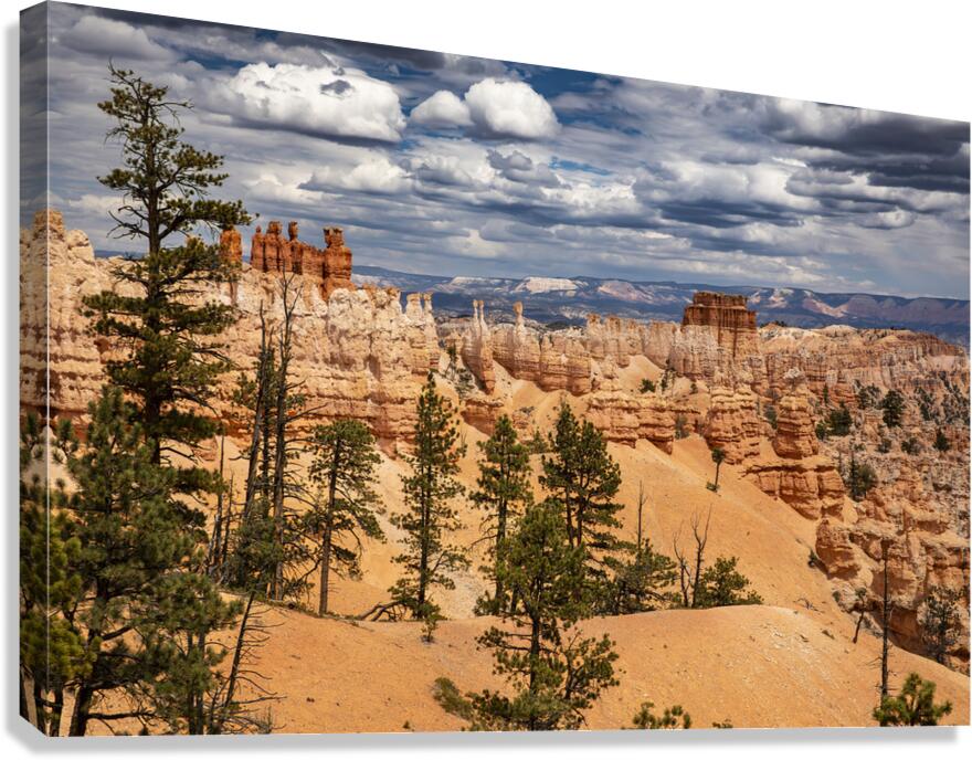 Bryce Canyon National Park Vista Canvas Print