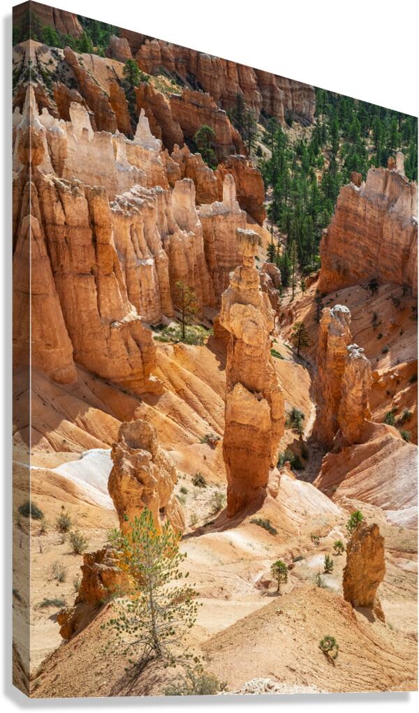 Bryce Canyon National Park Funnel Canvas Print