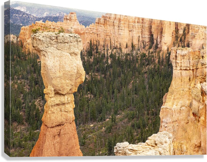 Bryce Canyon National Park Window Canvas Print