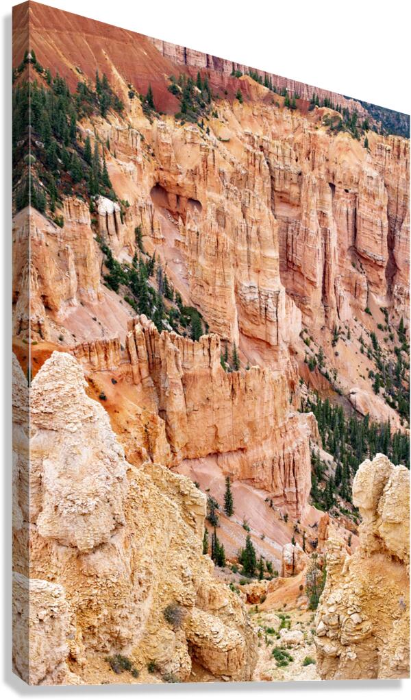 Bryce Canyon National Park Canyon Canvas Print