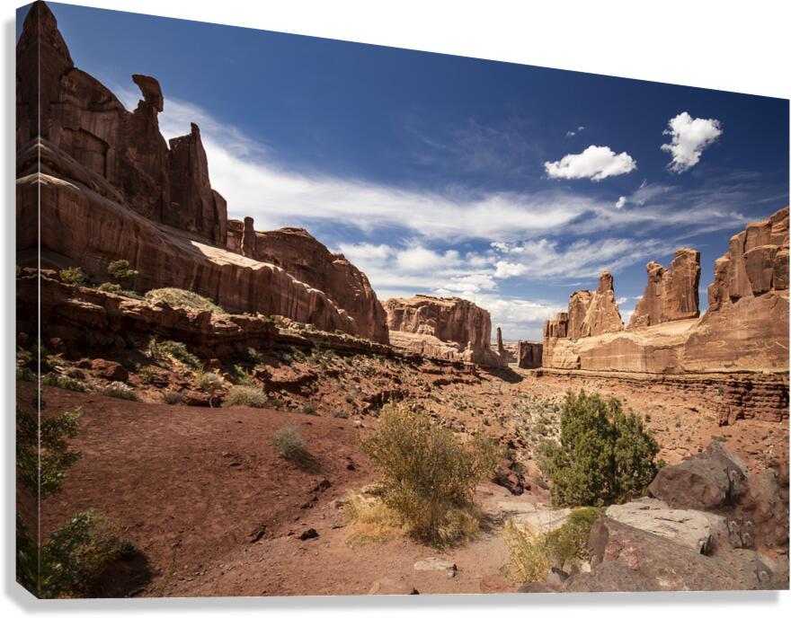 Arches National Park Wall Street Canvas Print