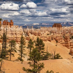 Bryce Canyon National Park Vista