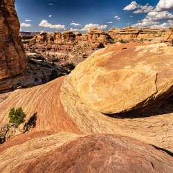 Canyonlands Outcrop
