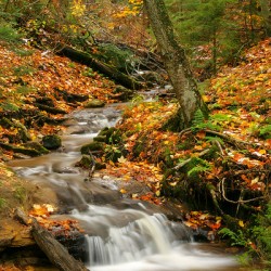 Streams of Michigan