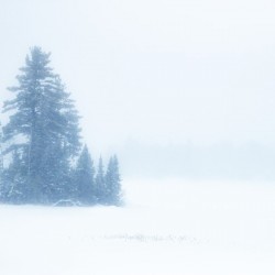 Snowy Frozen Minnesota Island