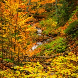 Fall in Munising Michigan