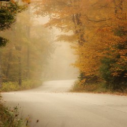 Fall In Door County Wisconsin