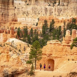 The Pathways of Bryce