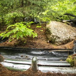 Car with Boulder in Nature
