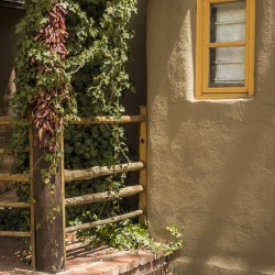 Sante Fe New Mexico Chili Peppers