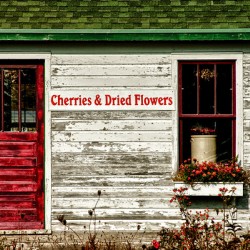 Door County Wisconsin Cherries