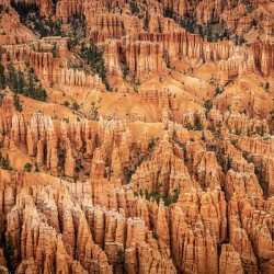 Hoodoos Over Utah