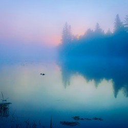 Foggy Sunrise Boundary Waters Minnesota