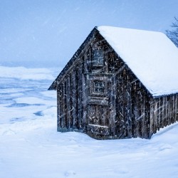 Barn Amongst a Minnesota Snowstorm
