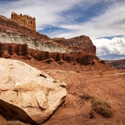Capitol Reef View