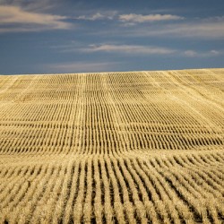 South Dakota Farm Country