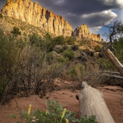 The Watchman of Zion