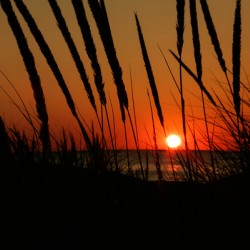 Lake Michigan Sunset
