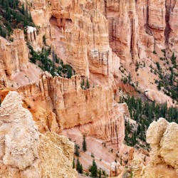 Bryce Canyon National Park Canyon