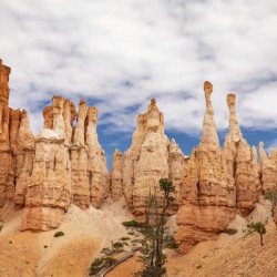 The Hoodoos of Bryce