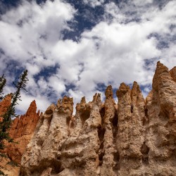 Towering Bryce