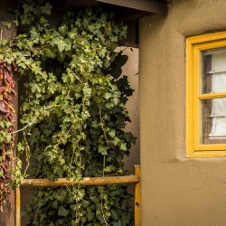 Santa Fe Chili Peppers