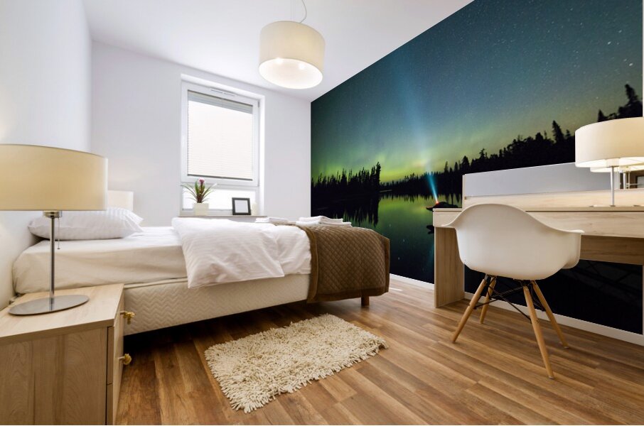 Northern Lights In Action Mural print