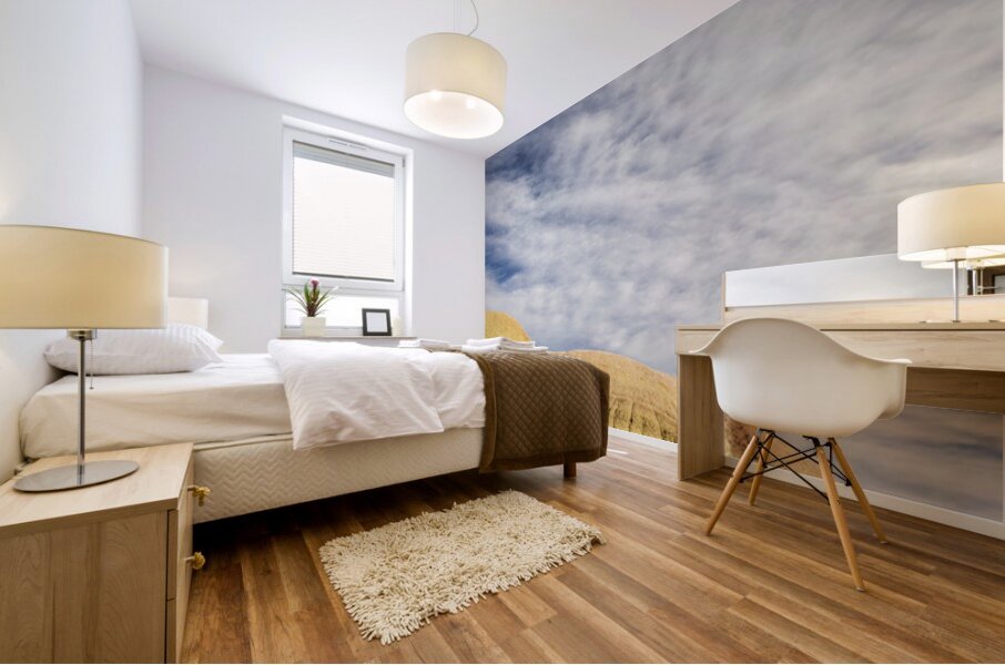 Heaven In The Badlands Mural print