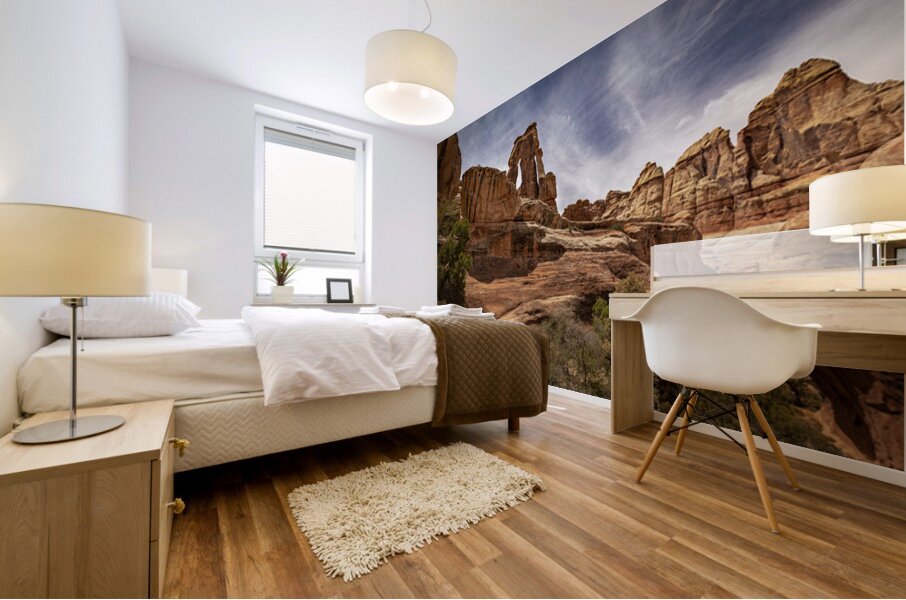 Druid Arch Canyonlands Mural print