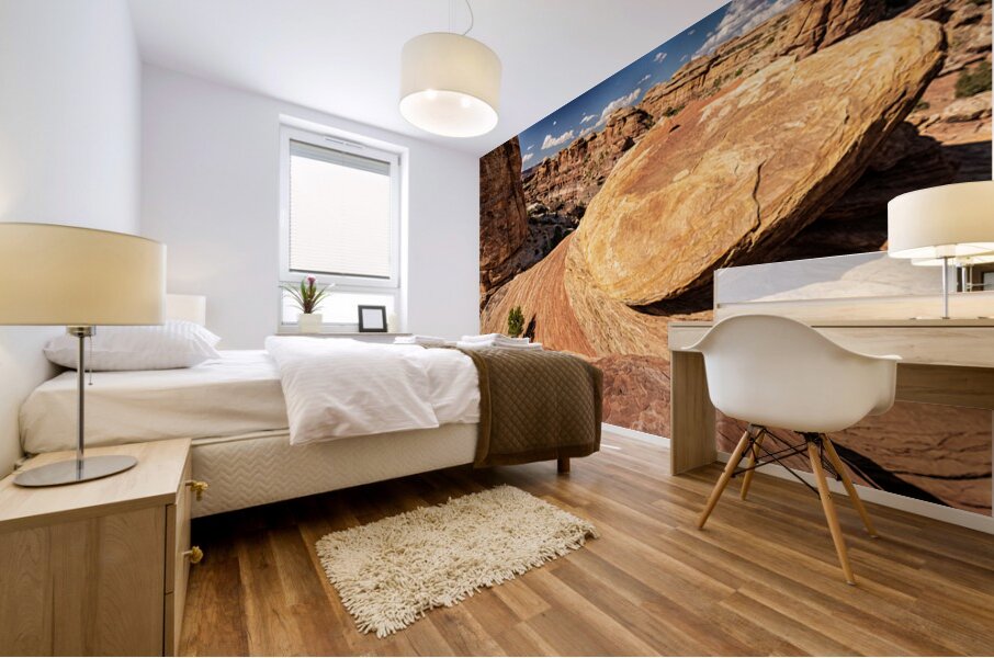 Canyonlands Outcrop Mural print