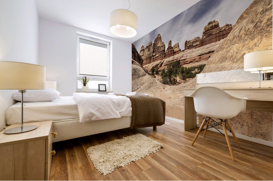 Canyonlands Half Pipe Mural print