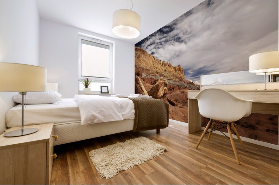 Rock Canyon Mural print