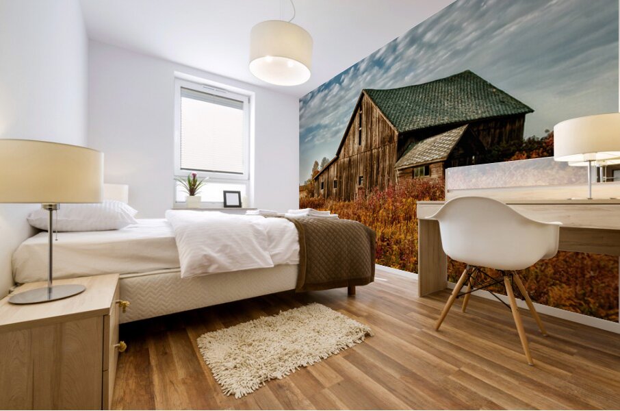 Barn For The Ages Mural print