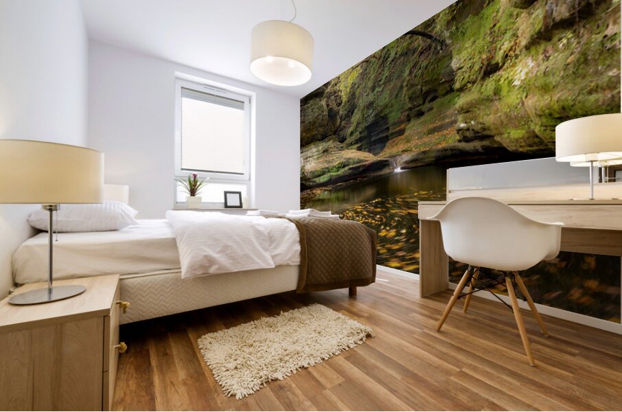 Fall In the Canyon Mural print