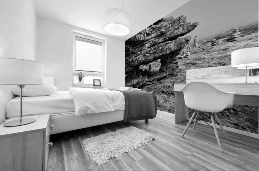 Foggy Outcrop Mural print