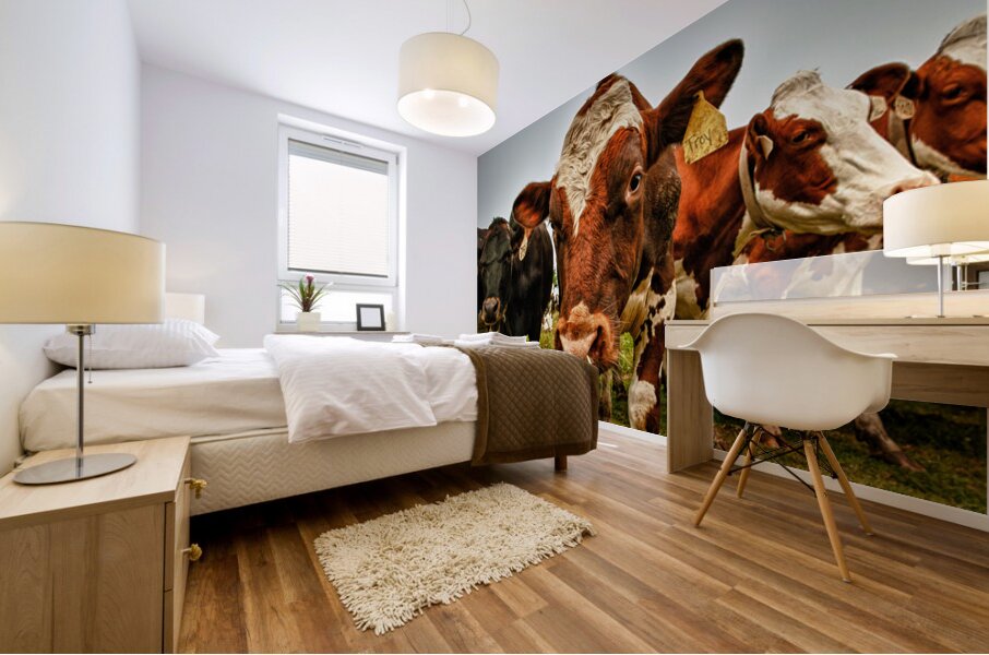 Wisconsin Cows Mural print